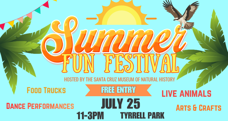 Summer Fun Festival