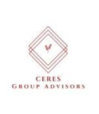 Profile picture of Ceres Group Advisors/Debra Feldstein (Ally)