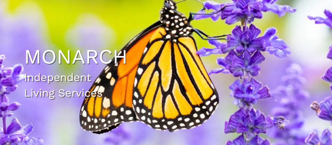 052624 Blog Monarch